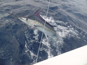 Sport fishing in Kenya