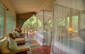 Accommodation types during safari