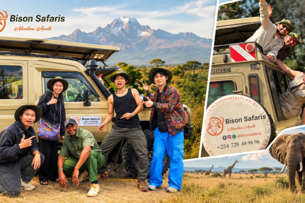 Bison Safaris: Your Trusted Guide to Planning an Incredible Kenya Safari