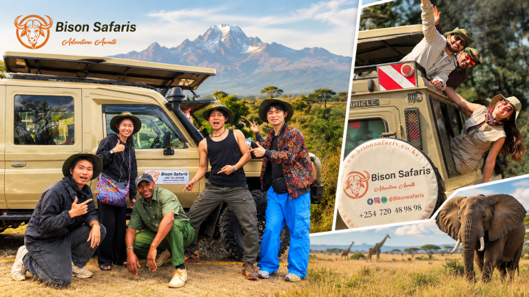 Bison Safaris: Your Trusted Guide to Planning an Incredible Kenya Safari