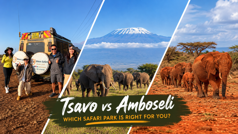 Tsavo vs Amboseli Safari: Discover the Best Park for Your Kenya Adventure