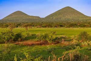 Tsavo West scenery